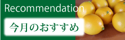 今月のおすすめ