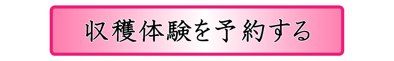 収穫体験予約